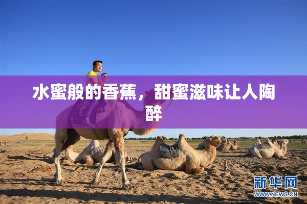 水蜜般的香蕉，甜蜜滋味让人陶醉