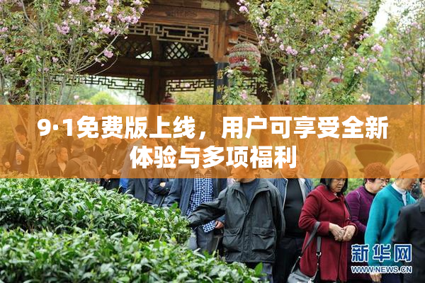 9·1免费版上线，用户可享受全新体验与多项福利
