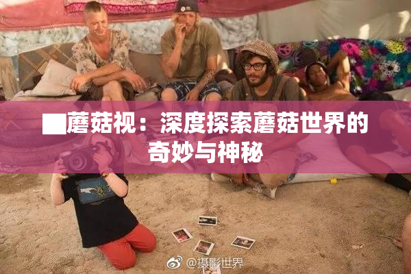 ▇蘑菇视：深度探索蘑菇世界的奇妙与神秘