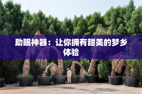 助眠神器：让你拥有甜美的梦乡体验