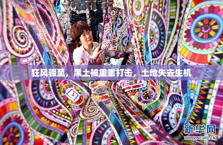狂风骤至，黑土被重重打击，土地失去生机
