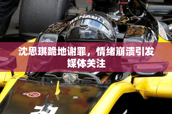 沈思琪跪地谢罪，情绪崩溃引发媒体关注