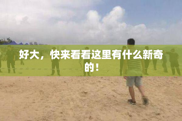 好大，快来看看这里有什么新奇的！