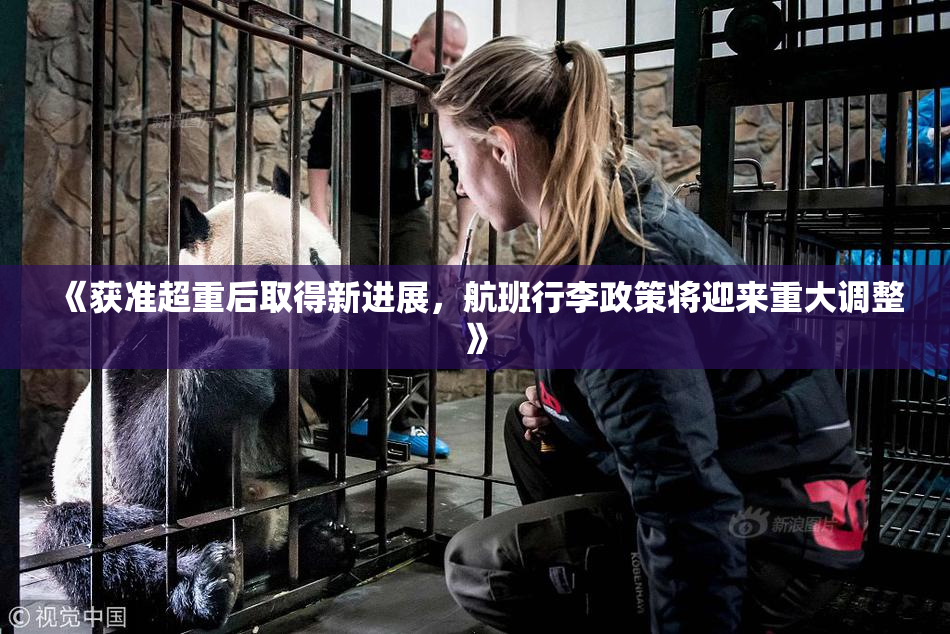 《获准超重后取得新进展，航班行李政策将迎来重大调整》
