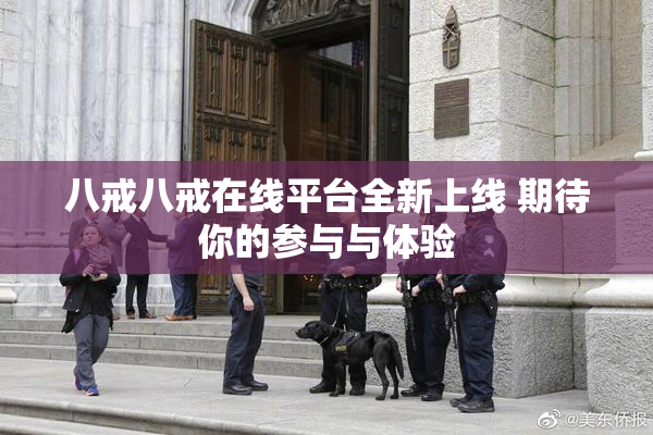 八戒八戒在线平台全新上线 期待你的参与与体验