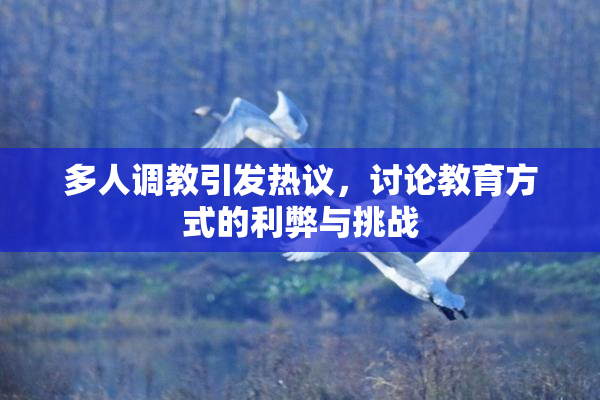 多人调教引发热议，讨论教育方式的利弊与挑战