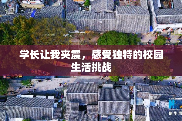学长让我夹震，感受独特的校园生活挑战