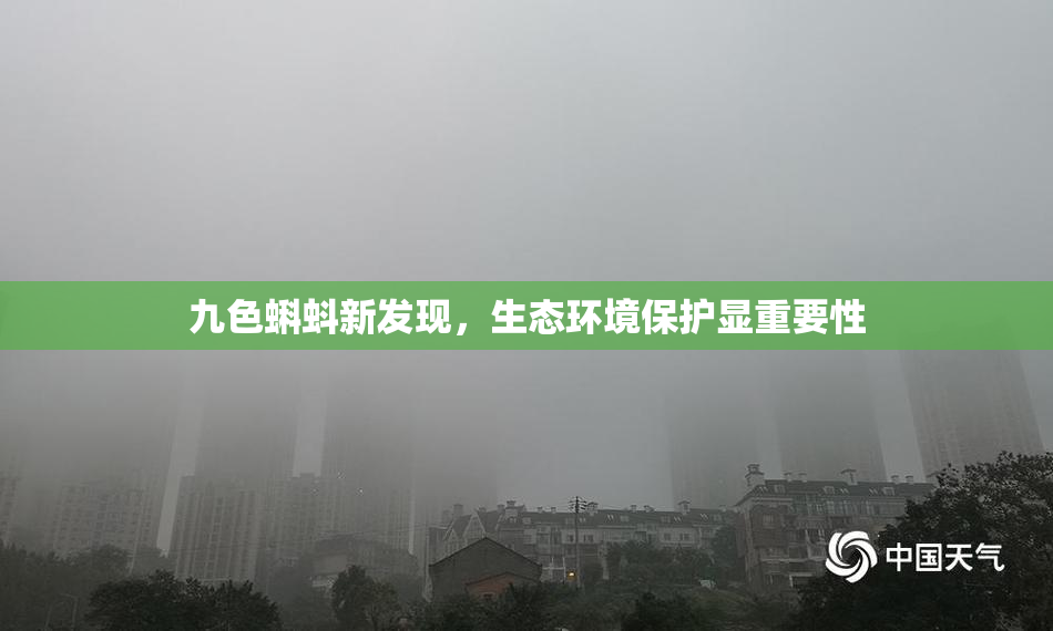 九色蝌蚪新发现，生态环境保护显重要性