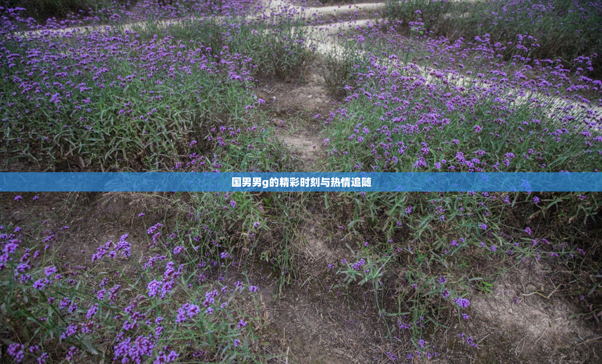 国男男g的精彩时刻与热情追随