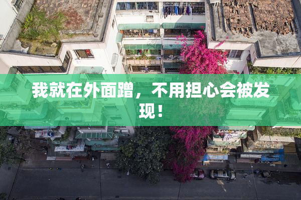 我就在外面蹭，不用担心会被发现！
