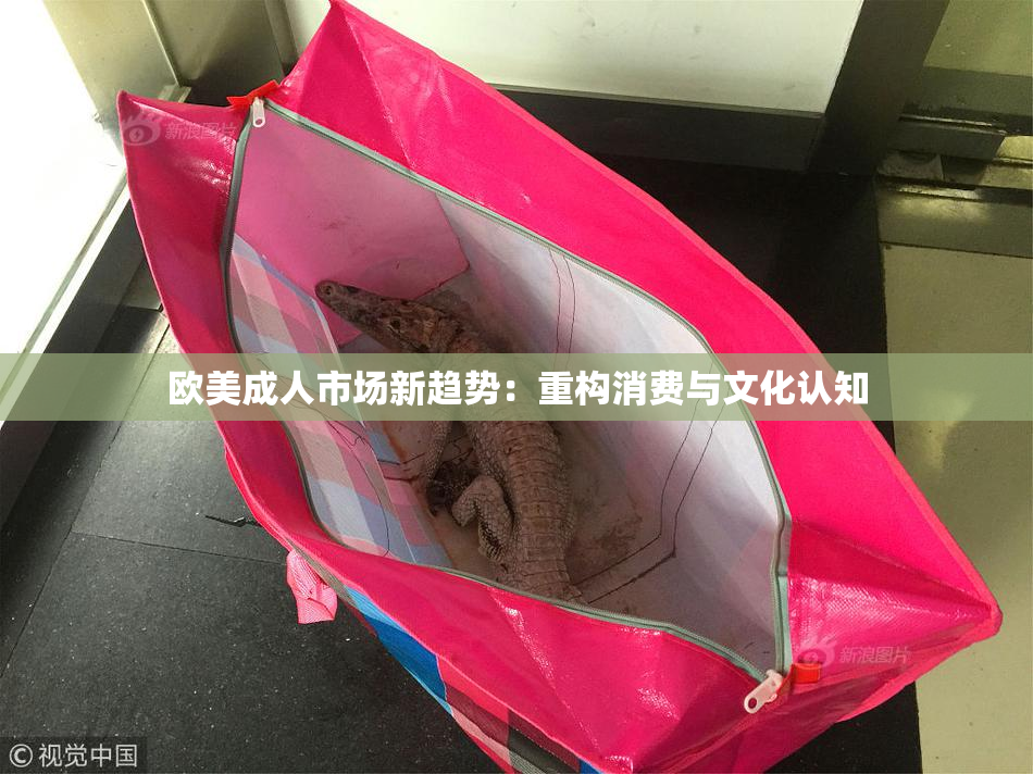 欧美成人市场新趋势：重构消费与文化认知