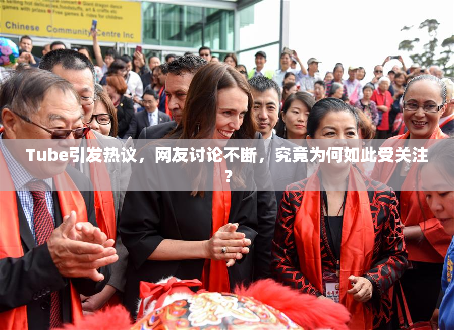 Tube引发热议，网友讨论不断，究竟为何如此受关注？
