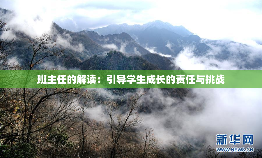 班主任的解读：引导学生成长的责任与挑战