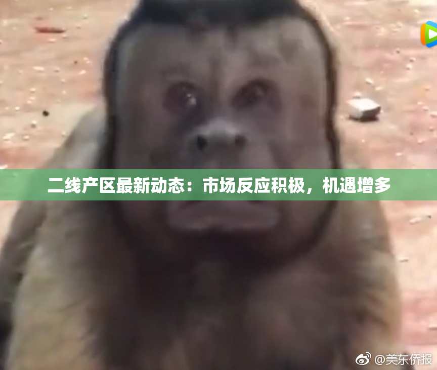 二线产区最新动态：市场反应积极，机遇增多