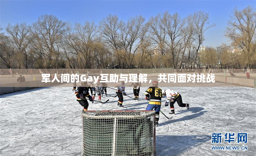 军人间的Gay互助与理解，共同面对挑战