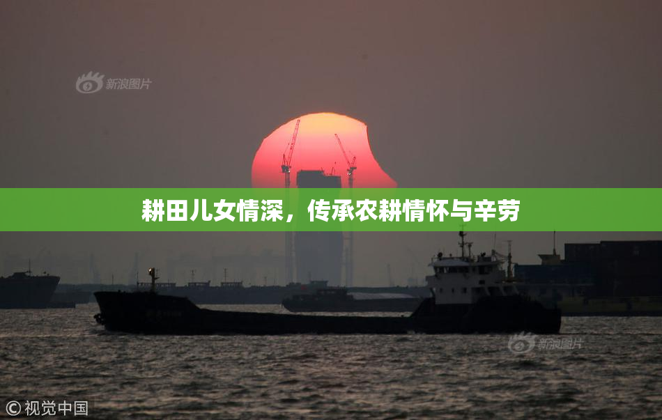耕田儿女情深，传承农耕情怀与辛劳