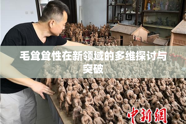 毛耸耸性在新领域的多维探讨与突破