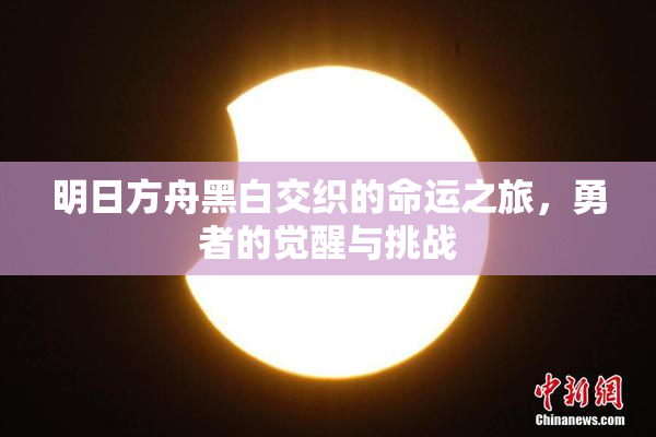 明日方舟黑白交织的命运之旅，勇者的觉醒与挑战