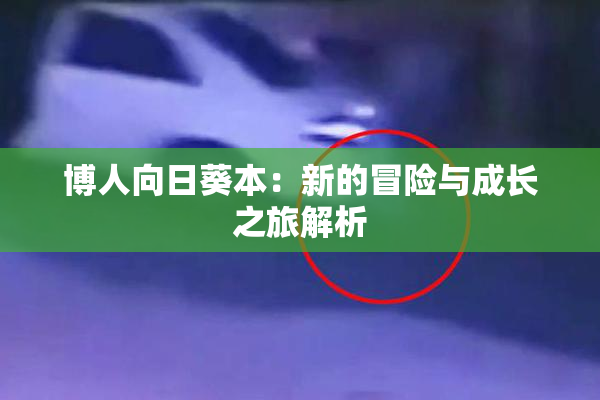 博人向日葵本：新的冒险与成长之旅解析