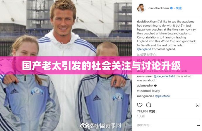 国产老太引发的社会关注与讨论升级