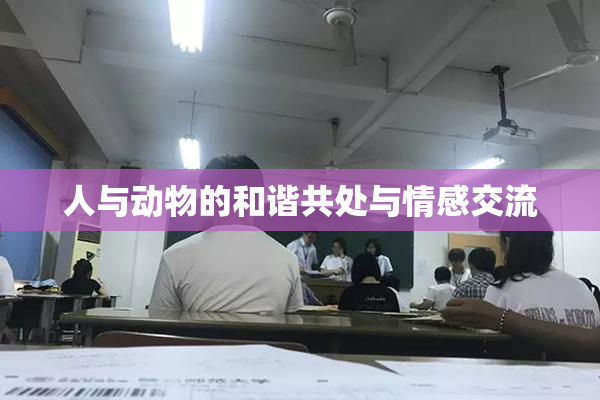 人与动物的和谐共处与情感交流