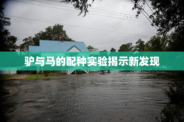 驴与马的配种实验揭示新发现