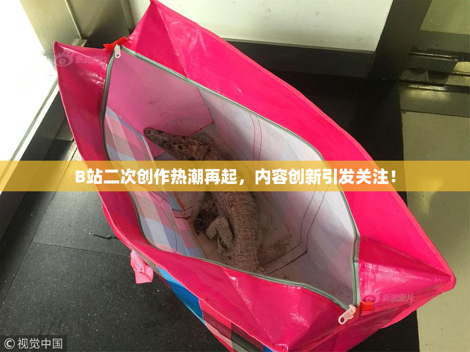 B站二次创作热潮再起，内容创新引发关注！