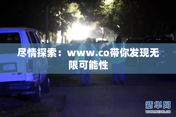 尽情探索：www.co带你发现无限可能性