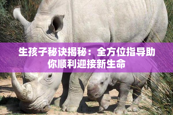 生孩子秘诀揭秘：全方位指导助你顺利迎接新生命