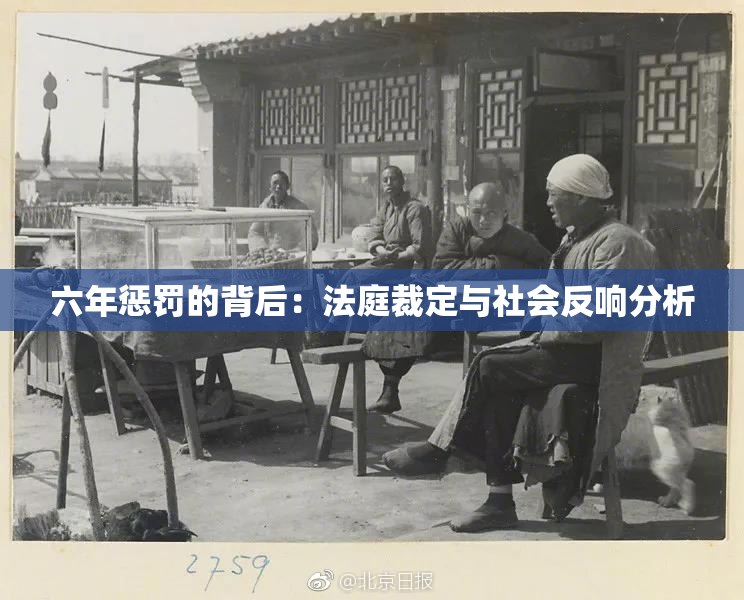 六年惩罚的背后：法庭裁定与社会反响分析