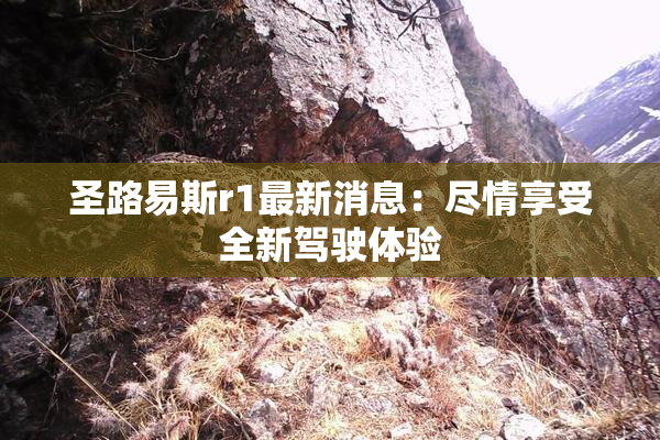 圣路易斯r1最新消息：尽情享受全新驾驶体验
