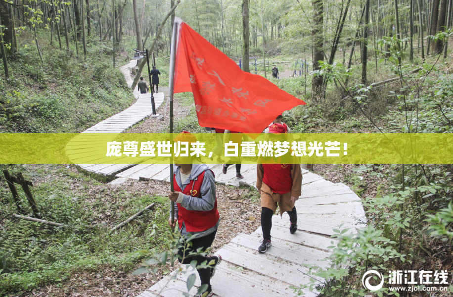 庞尊盛世归来，白重燃梦想光芒！