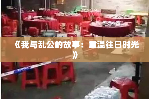 《我与乱公的故事：重温往日时光》