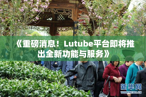 《重磅消息！Lutube平台即将推出全新功能与服务》