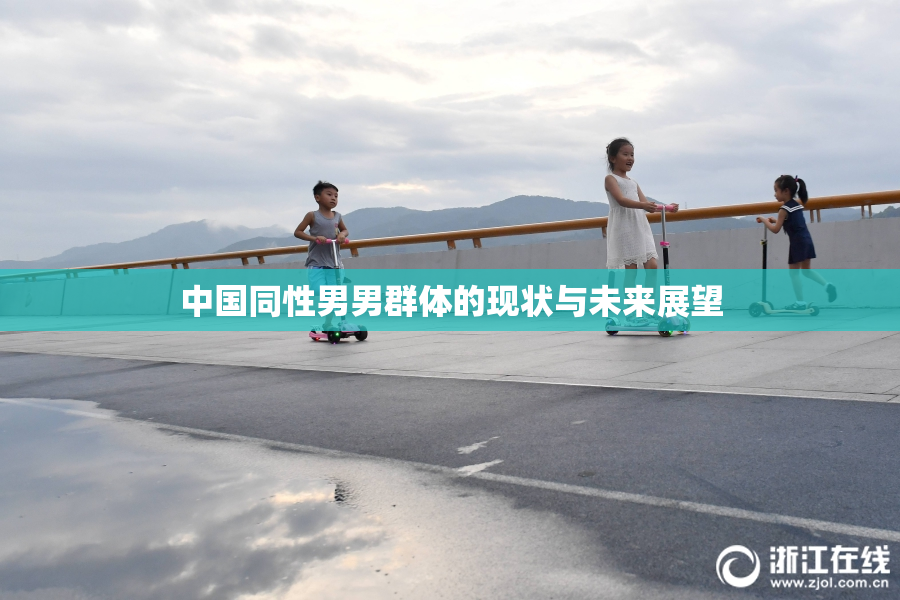 中国同性男男群体的现状与未来展望