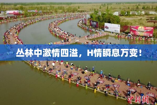 丛林中激情四溢，H情瞬息万变！