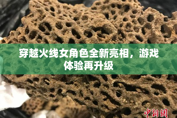 穿越火线女角色全新亮相，游戏体验再升级
