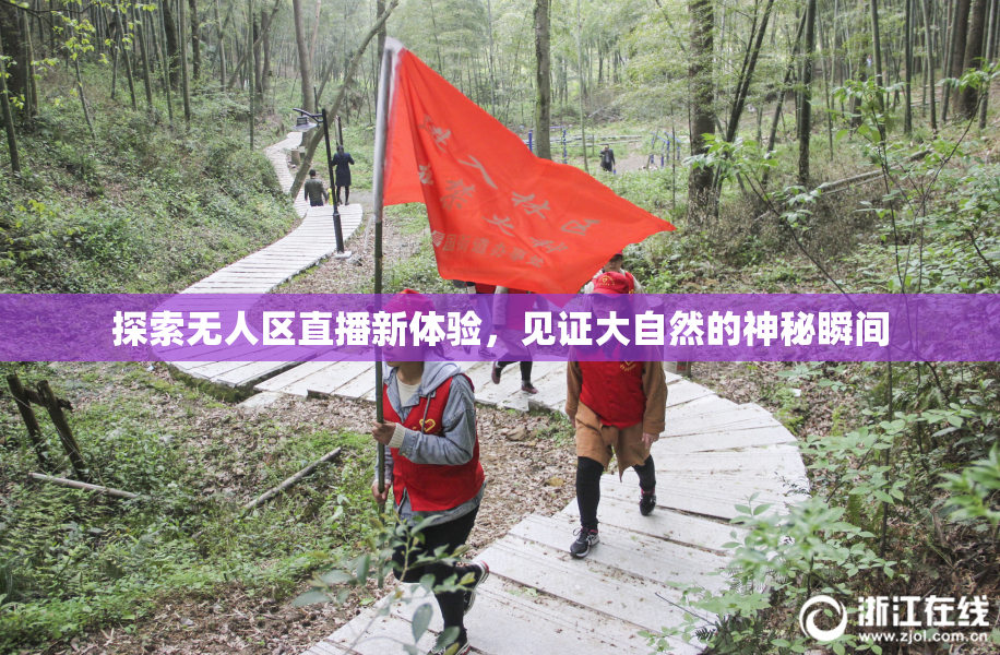 探索无人区直播新体验，见证大自然的神秘瞬间