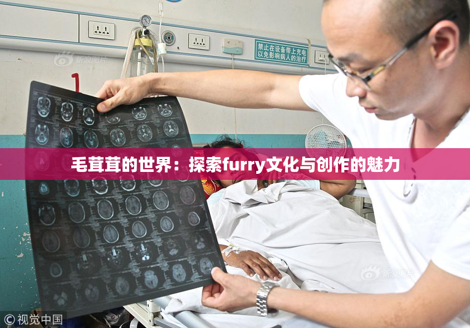 毛茸茸的世界：探索furry文化与创作的魅力
