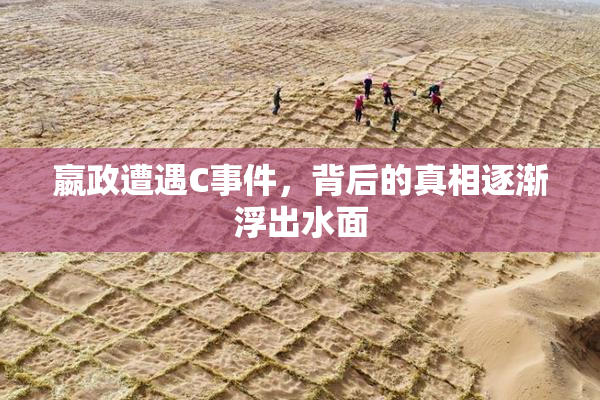 嬴政遭遇C事件，背后的真相逐渐浮出水面
