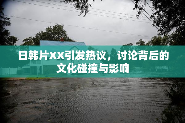 日韩片XX引发热议，讨论背后的文化碰撞与影响