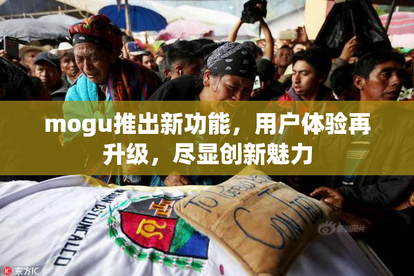 mogu推出新功能，用户体验再升级，尽显创新魅力