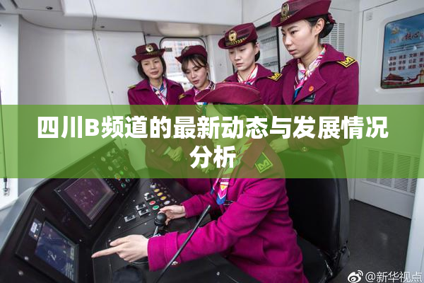 四川B频道的最新动态与发展情况分析