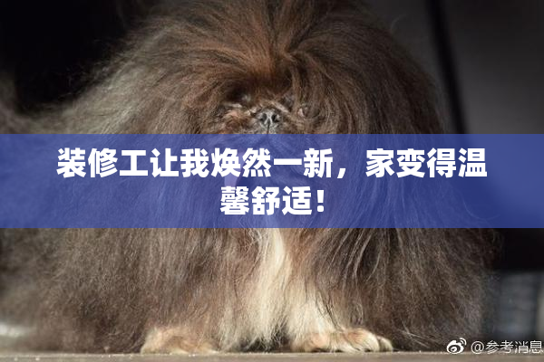 装修工让我焕然一新，家变得温馨舒适！