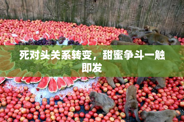 死对头关系转变，甜蜜争斗一触即发
