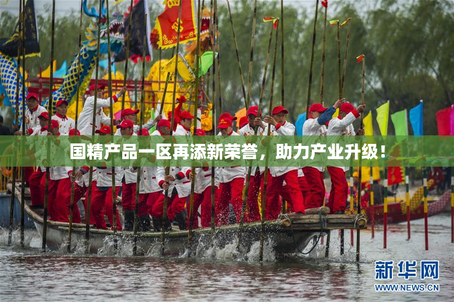 国精产品一区再添新荣誉，助力产业升级！