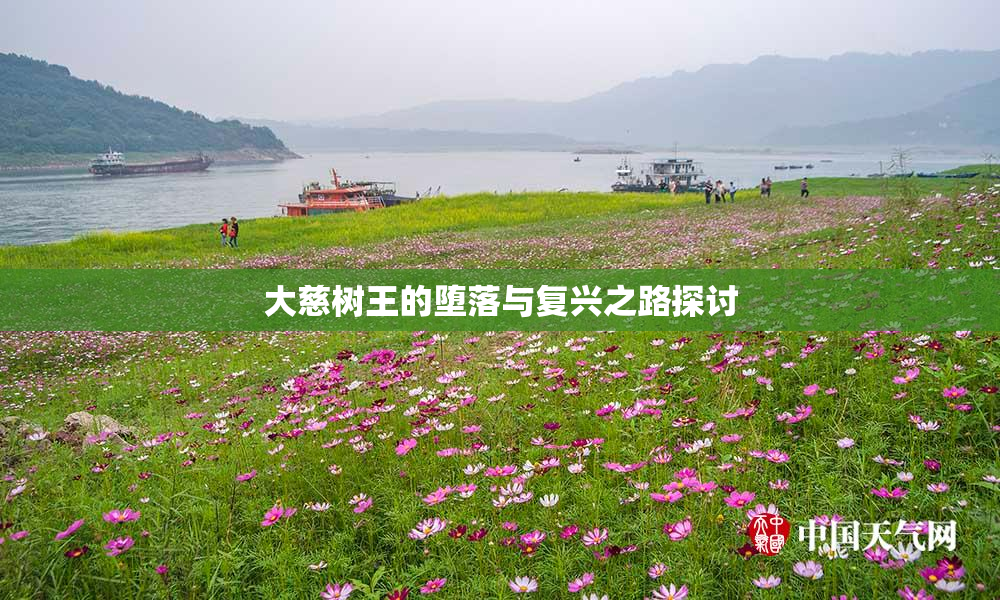 大慈树王的堕落与复兴之路探讨