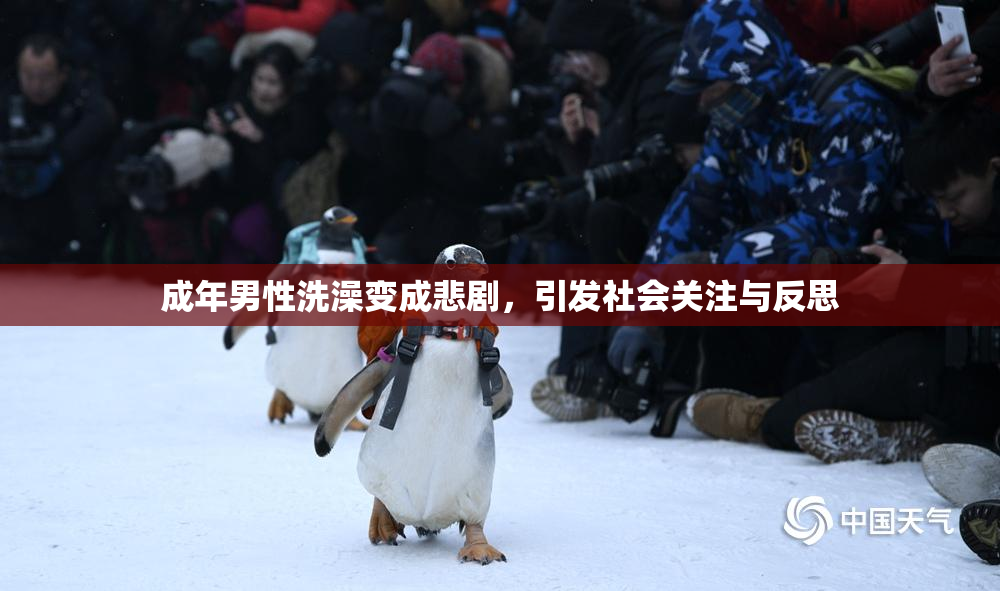 成年男性洗澡变成悲剧，引发社会关注与反思