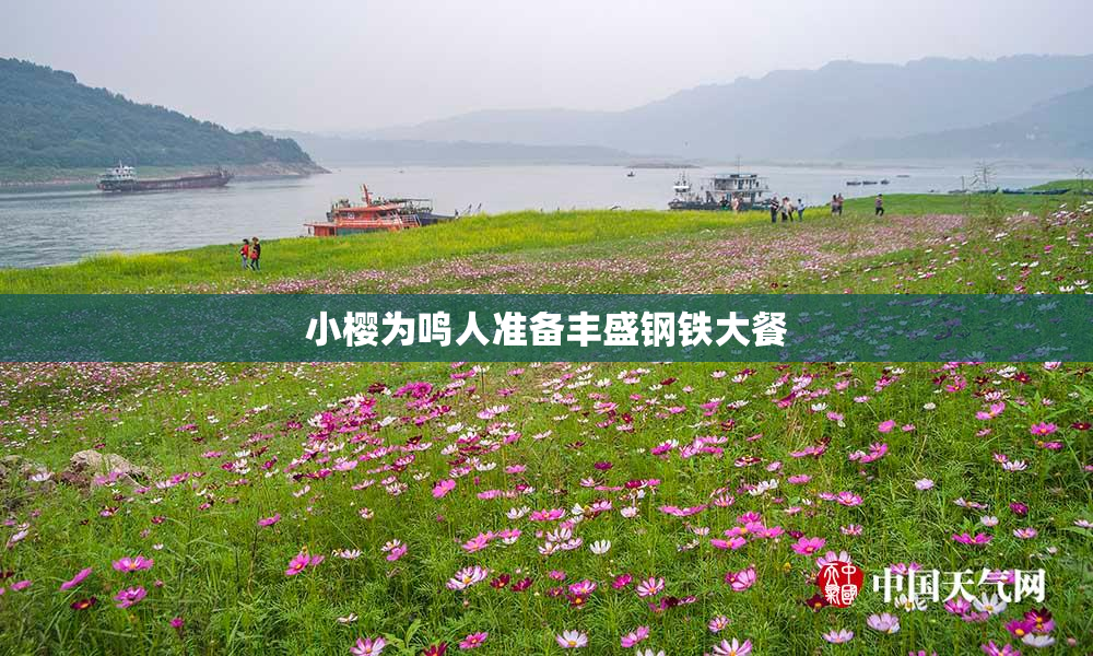 小樱为鸣人准备丰盛钢铁大餐