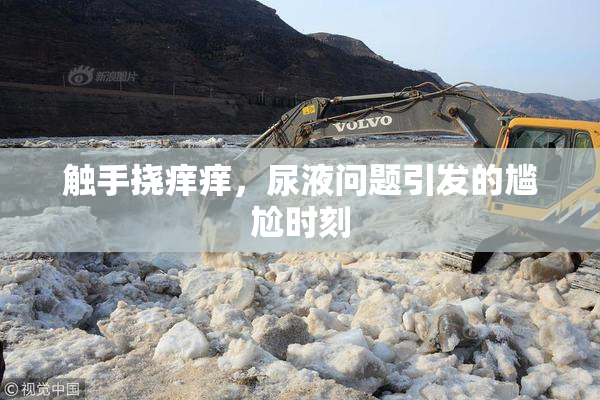 触手挠痒痒，尿液问题引发的尴尬时刻